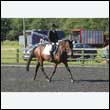 durdress24_0071