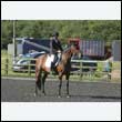durdress24_0072