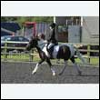 durdress24_0079