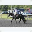 durdress24_0095