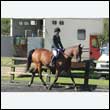 durdress24_0097