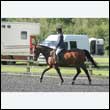 durdress24_0104