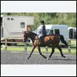 durdress24_0105