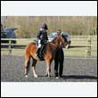 durdress25_0010