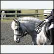 durdress25_0014