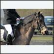durdress25_0029