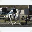 durdress25_0036