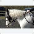 durdress25_0043