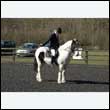 durdress25_0044