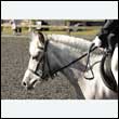 durdress25_0049