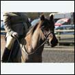 durdress25_0061