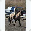 durdress25_0062