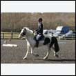 durdress25_0093