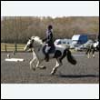 durdress25_0095