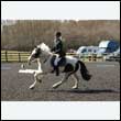 durdress25_0096