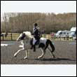 durdress25_0097