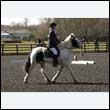 durdress25_0099