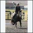 durdress25_0105