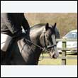 durdress25_0107