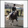 durdress25_0111