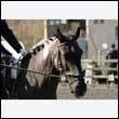 durdress25_0113