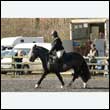 durdress25_0114