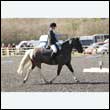 durdress25_0125