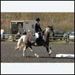 durdress25_0127