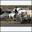 durdress25_0139