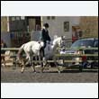 durdress25_0142