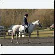 durdress25_0158