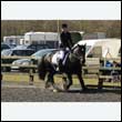 durdress25_0175