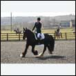 durdress25_0176