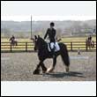 durdress25_0177