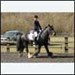 durdress25_0180