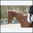 durdress25_0181