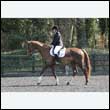 durdress25_0183