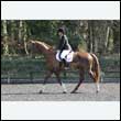durdress25_0184