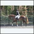 durdress25_0185