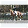 durdress25_0187