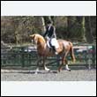 durdress25_0188
