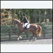 durdress25_0190