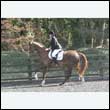 durdress25_0191