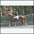 durdress25_0192