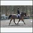 durdress25_0198