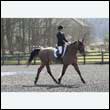 durdress25_0199