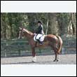 durdress25_0200