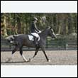 durdress25_0202