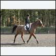 durdress25_0203