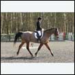durdress25_0205